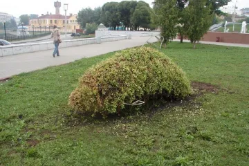 МАФ Проектирование Изготовление